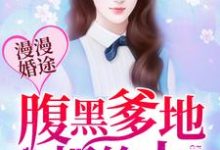 漫漫婚途：腹黑爹地很给力这本小说完结了吗？免费查看最新章节-贝壳文学
