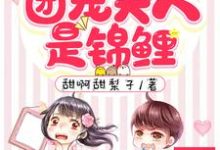 顾爷,团宠夫人是锦鲤南音顾时霆小说免费阅读-贝壳文学