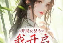 已完结小说《开局女县令,我开启基建之旅》章节免费阅读-贝壳文学