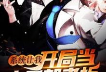 系统让我开局当小卖部老板小说,系统让我开局当小卖部老板章节在线阅读-贝壳文学