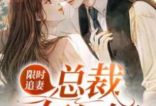 傅紫岑邵临深为主角的小说好看吗？求限时追妻：总裁勾勾缠免费试读-贝壳文学