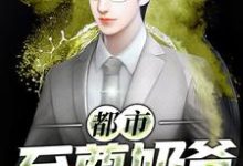 求都市至尊奶爸小说的全文免费阅读链接-贝壳文学