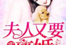 霍少，夫人又要离婚小说有没有完结版在线？-贝壳文学