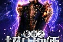 寻找都市之超品相师小说的最新更新章节-贝壳文学