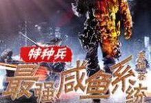 已完结小说《特种兵之最强咸鱼系统》章节免费阅读-贝壳文学