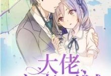 完结版《大佬宠妻不腻》章节阅读-贝壳文学