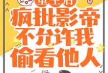 主角裴炎江澈小说重生后，疯批影帝不允许我偷看他人免费阅读-贝壳文学