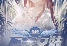 小说《系统：不穿女装就会死》章节阅读-贝壳文学