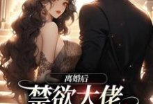 免费看离婚后,禁欲大佬求我跟他回家小说的网站有哪些?-贝壳文学