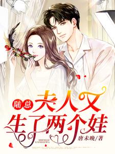 陆总，夫人又生了两个娃小说最新章节在哪里可以读到？