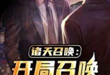 陈奕周儒小说在线章节免费阅读(诸天召唤:开局召唤saber无弹窗无删减)-贝壳文学