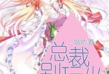 完结版《二婚娇妻：总裁别玩火》章节目录在线阅读-贝壳文学
