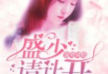 小说《强势锁婚：盛少，请让开》章节阅读-贝壳文学