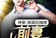 神豪：离婚后摊牌，前妻悔不当初 陆青玄吕冰清小说大结局免费试读-贝壳文学