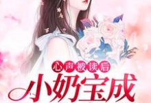 心声被读后,小奶宝成全家宠儿苏沐沐其他,心声被读后,小奶宝成全家宠儿小说免费阅读-贝壳文学