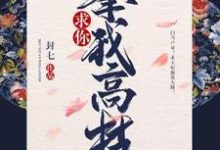 求你攀我高枝最新章节，求你攀我高枝章节在线阅读-贝壳文学
