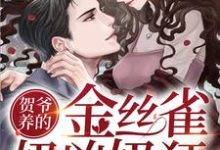 已完结小说《贺爷养的金丝雀奶凶奶狂》章节在线阅读-贝壳文学