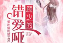 顾少的错爱哑妻小说全文哪里可以免费看?-贝壳文学