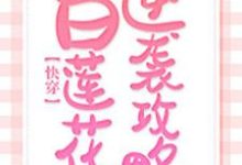 快穿:白莲花逆袭攻略小说最新更新在哪里?免费在线看-贝壳文学