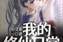 免费阅读叶枫沈芊芊为主角的小说，我的修仙日常被校花外甥女曝光了在线看-贝壳文学