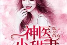 陆少的神医小甜妻小说的无弹窗阅读体验，寻找免费阅读网站-贝壳文学