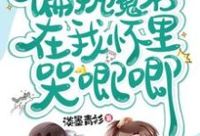 君清寒祁泽兮为主角的小说叫什么?免费看穿书,偏执魔君在我怀里哭唧唧-贝壳文学