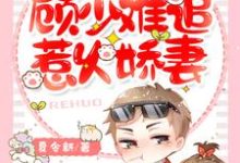 在线寻找苏若夏顾南柯的小说,一胎两宝:顾少难追惹火娇妻免费阅读-贝壳文学