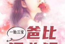 寻找能够免费阅读一胎三宝，爸比狠凶猛小说的平台-贝壳文学