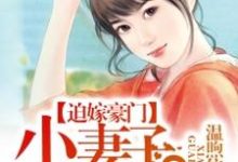 迫嫁豪门:小妻子,乖乖的(叶歆婷箫子赫黎朵夜凉)在线免费阅读-贝壳文学