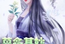 小说《莫名其妙世子妃》章节免费阅读-贝壳文学