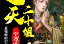 主角叫上官凤萧弈柳诗诗小说至尊邪凤:逆天二小姐章节免费阅读-贝壳文学