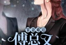 罪妻难追:傅总又被拉黑了小说,罪妻难追:傅总又被拉黑了章节在线阅读-贝壳文学