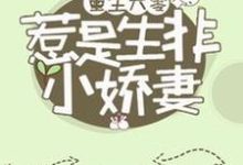 主角叫韩惠刘君山小说重生六零:惹是生非小娇妻章节免费阅读-贝壳文学