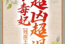 求残疾王爷的小毒妃超凶超飒小说的全文免费阅读链接-贝壳文学