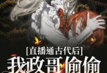 求直播通古代后，我政哥偷偷研究发明小说免费资源-贝壳文学