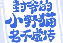 求悄然情深：封爷的小野猫名不虚传小说的全文免费阅读链接-贝壳文学
