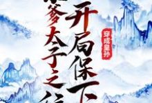 在线寻找李象李世民的小说，穿成皇孙，开局保下亲爹太子之位免费阅读-贝壳文学