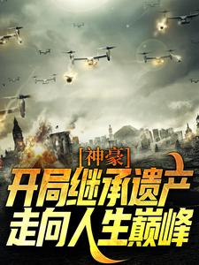 神豪：开局继承遗产，走向人生巅峰（李云峰霍颖）在线免费阅读