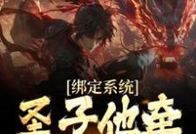 已完结小说《绑定系统：圣子他牵着女主走》章节免费阅读-贝壳文学