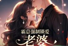 霸总强制锁爱：老婆，连生三胎嘛小说，霸总强制锁爱：老婆，连生三胎嘛章节在线阅读-贝壳文学