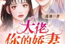 男女主人公梁湾陆北琛裴悯梁柔小说大佬你的娇妻已重生章节免费阅读-贝壳文学