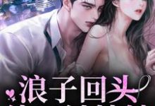 浪子回头：他只钟情她章节免费在线阅读，盛以泽桑岁完结版-贝壳文学
