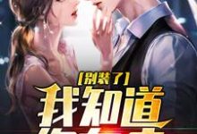 凌尘小说在哪里可以看-贝壳文学