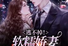 男女主人公叫梨岁岁楚焱的小说免费资源-贝壳文学