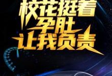 叶辰刘伊娜的小说在哪里看?免费在线阅读被分手后,校花挺着孕肚让我负责-贝壳文学