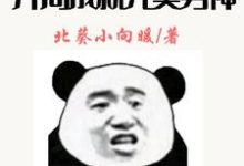 神豪:开局成就完美男神小说最新更新在哪里?免费在线看-贝壳文学