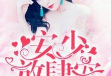 小说《安少,放肆宠!》章节阅读-贝壳文学