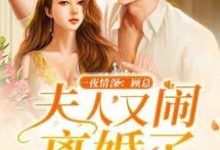 一夜情深:顾总,夫人又闹离婚了最新章节,一夜情深:顾总,夫人又闹离婚了章节在线阅读-贝壳文学