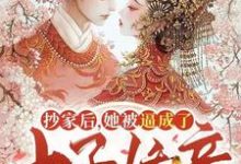 抄家后,她被逼成了太子娇妾小说阅读,抄家后,她被逼成了太子娇妾完结版-贝壳文学