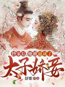 抄家后，她被逼成了太子娇妾小说阅读，抄家后，她被逼成了太子娇妾完结版